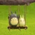 Gray & White Totoro