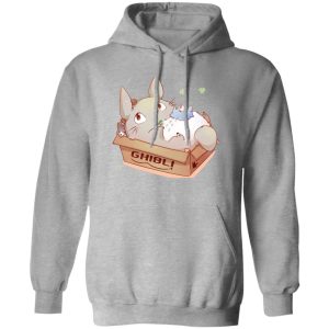 Is Totoro Forest Japan Safe - Cute Totoro in the Box Hoodie-Apparel, Hoodie, Is Totoro Forest Japan Safe, My Neighbor Totoro